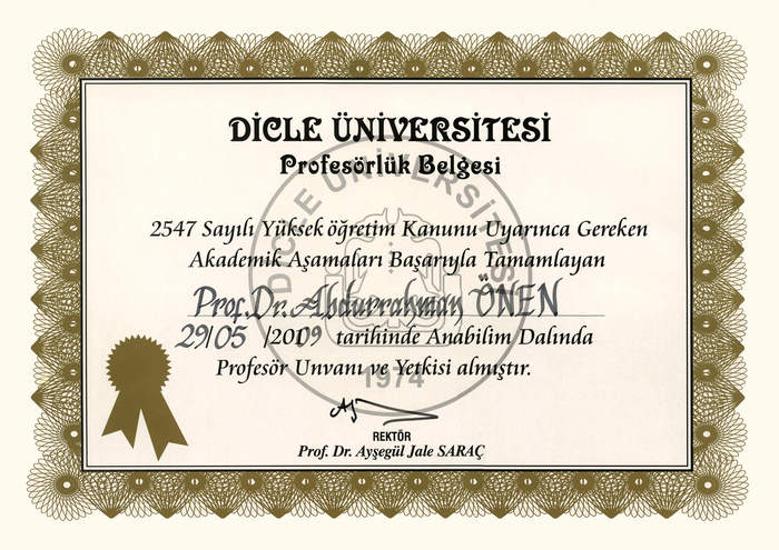 Abdurrahman Önen adına Dicle Üniversitesi tarafından verilen 29 Mayıs 2009 tarihli profesörlük belgesi